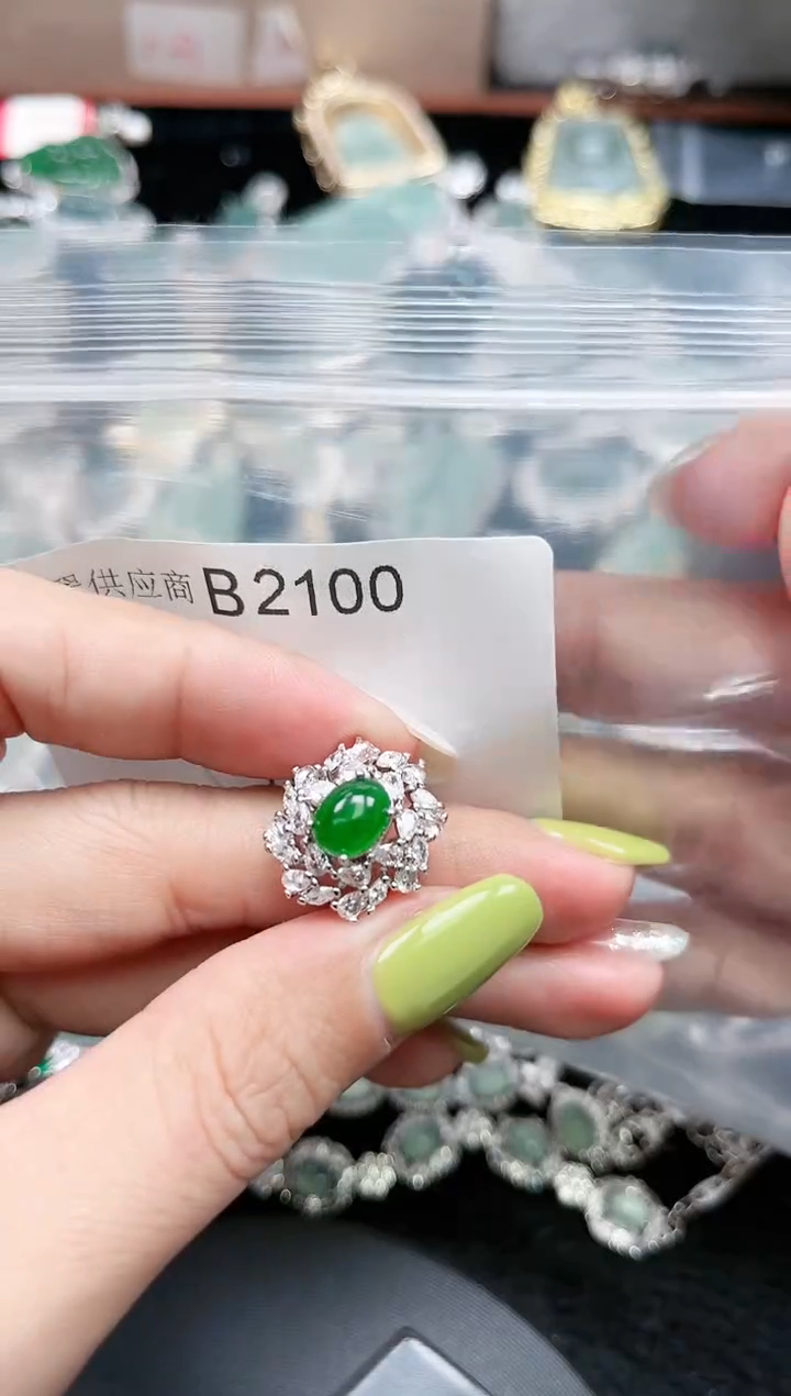 【闪购商品】翡翠颈饰未镶嵌2100赠皮绳