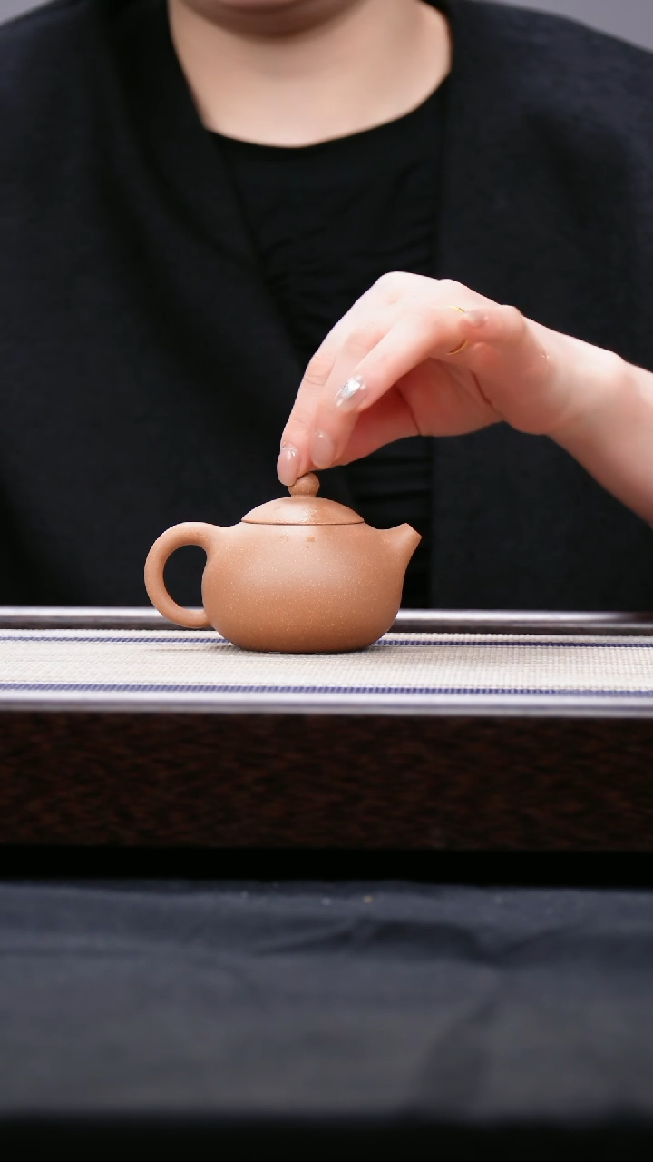 【闪购商品】紫砂茶壶段泥  小西施壶