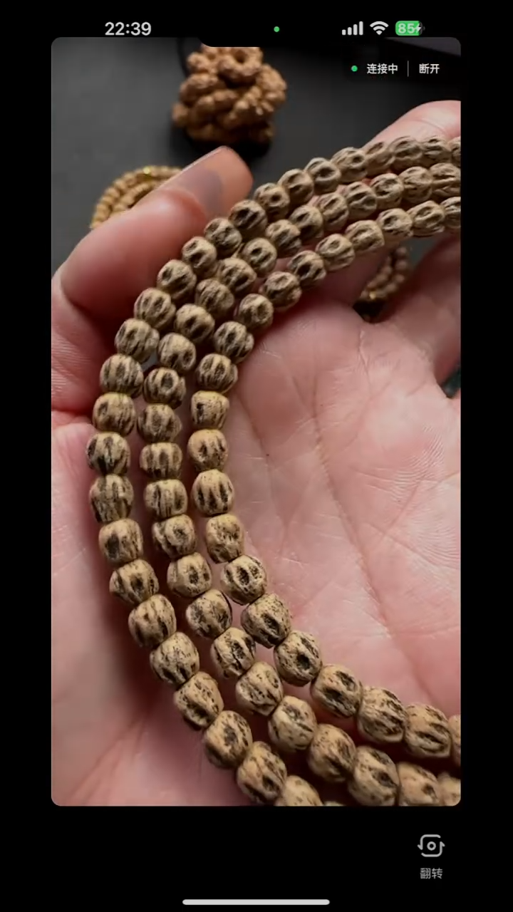 【闪购商品】柏香籽/百香籽吊坠《巫妖之惑》