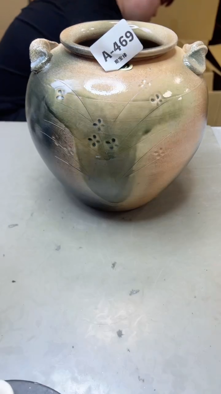 【闪购商品】瓷片469聚宝缘海淘精选
