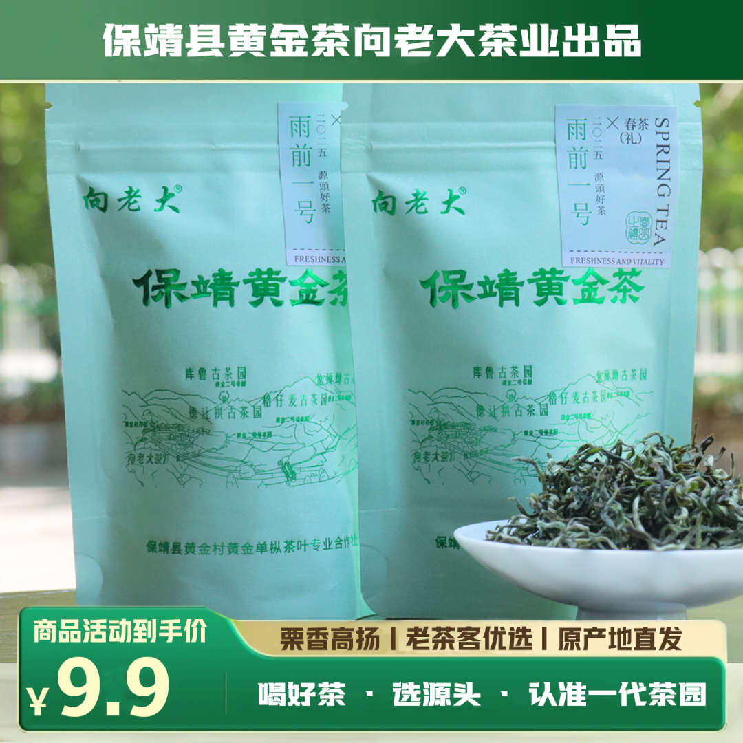 新茶湘西保靖黄金村黄金茶春茶浓郁耐泡回甘厂家宠粉雨前口碑绿茶