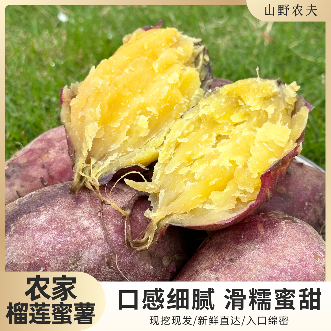 山野农夫榴莲蜜薯沙地番薯软糯香甜农家自种新鲜现挖高山榴莲蜜薯