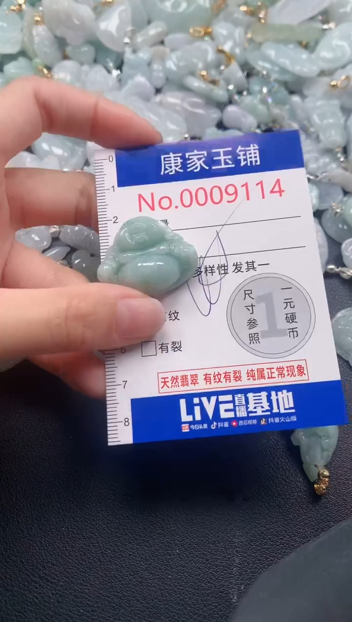 颈饰未镶嵌翡翠9114