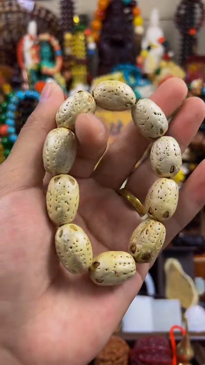 木主播推荐！主播推荐！！！