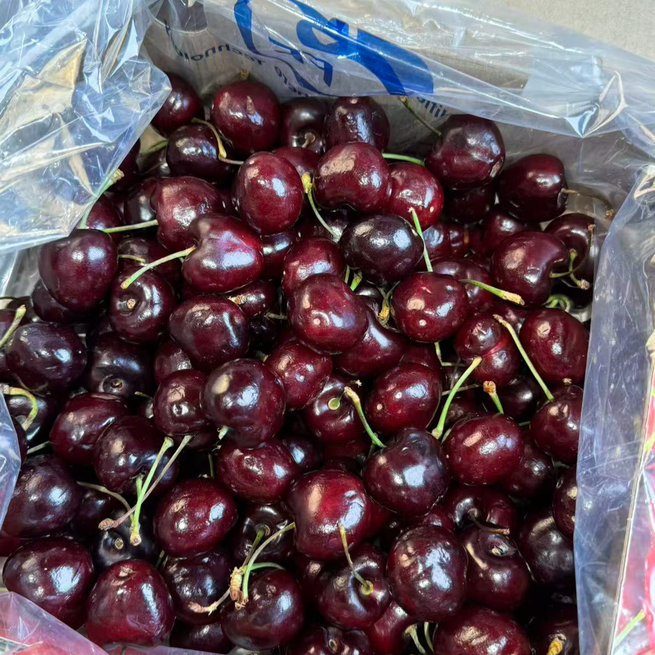 桑提娜车厘子3J 有磕碰痕迹挤压果介意勿拍 智利进口空运五斤装新鲜脆甜爆汁桑提娜智利