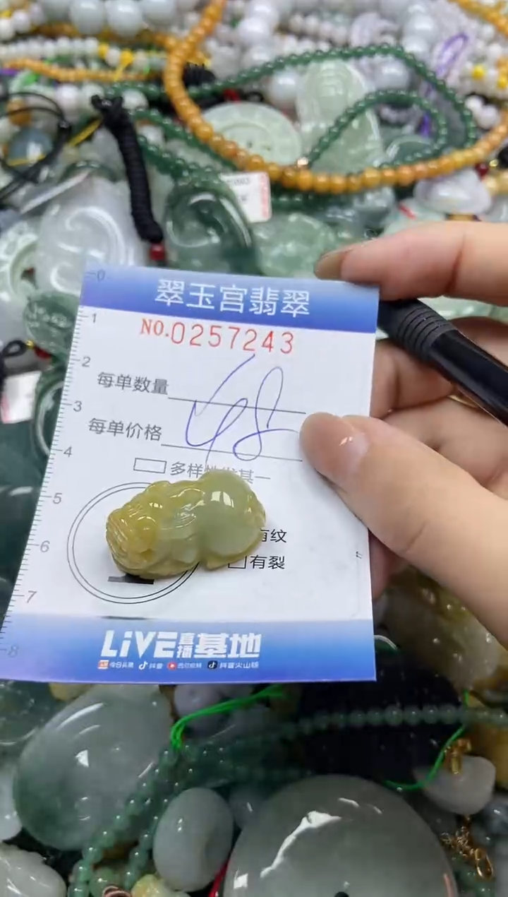 颈饰未镶嵌翡翠闪购C0257243