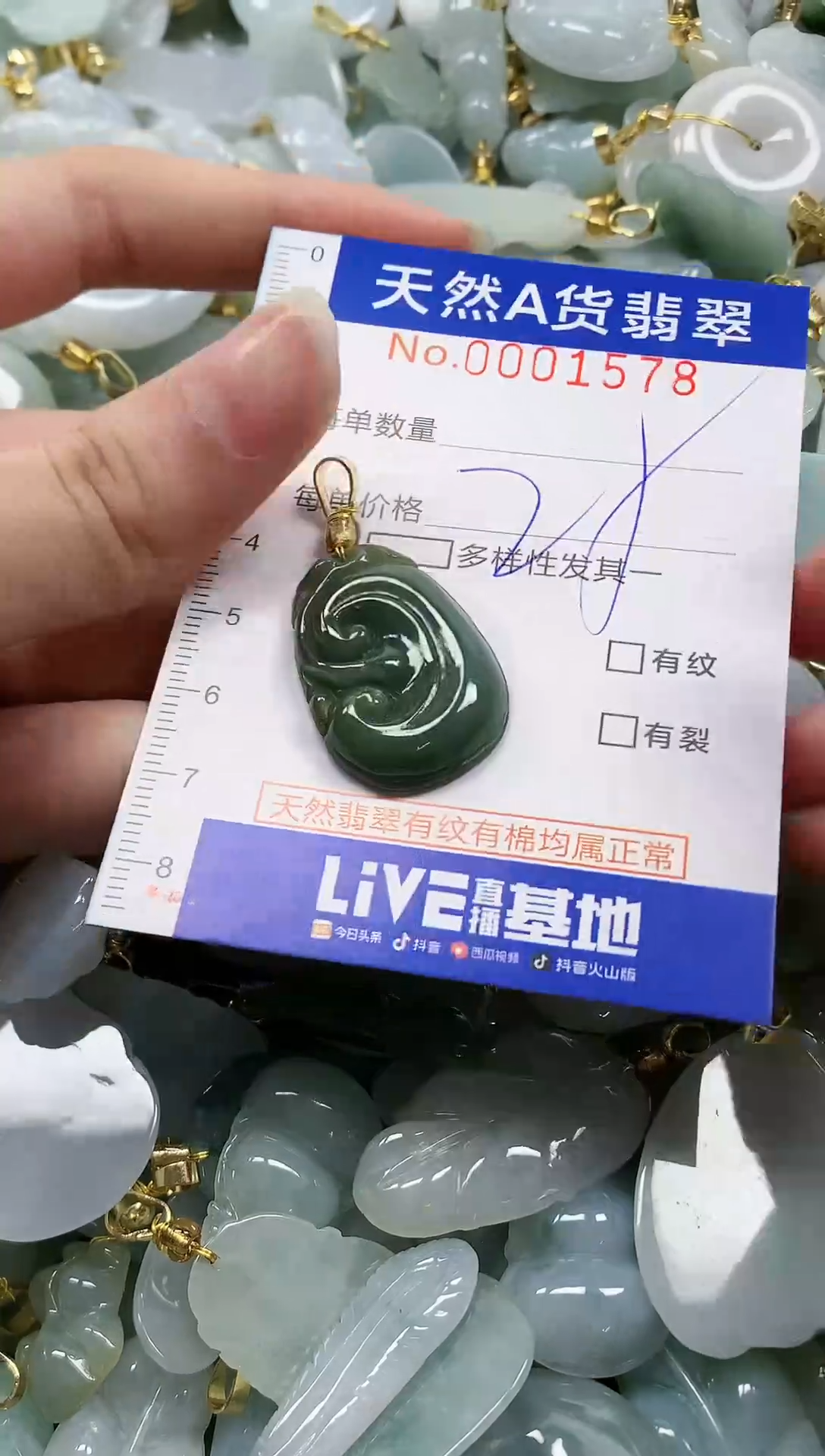 颈饰未镶嵌翡翠纯天然a货翡翠