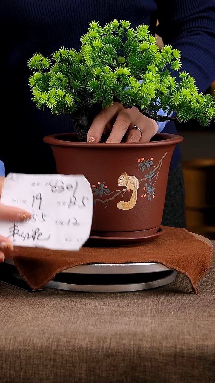 紫砂花盆花卉工艺8301+z