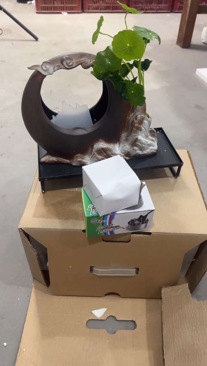 ?****?【带灯 】 八哥专拍