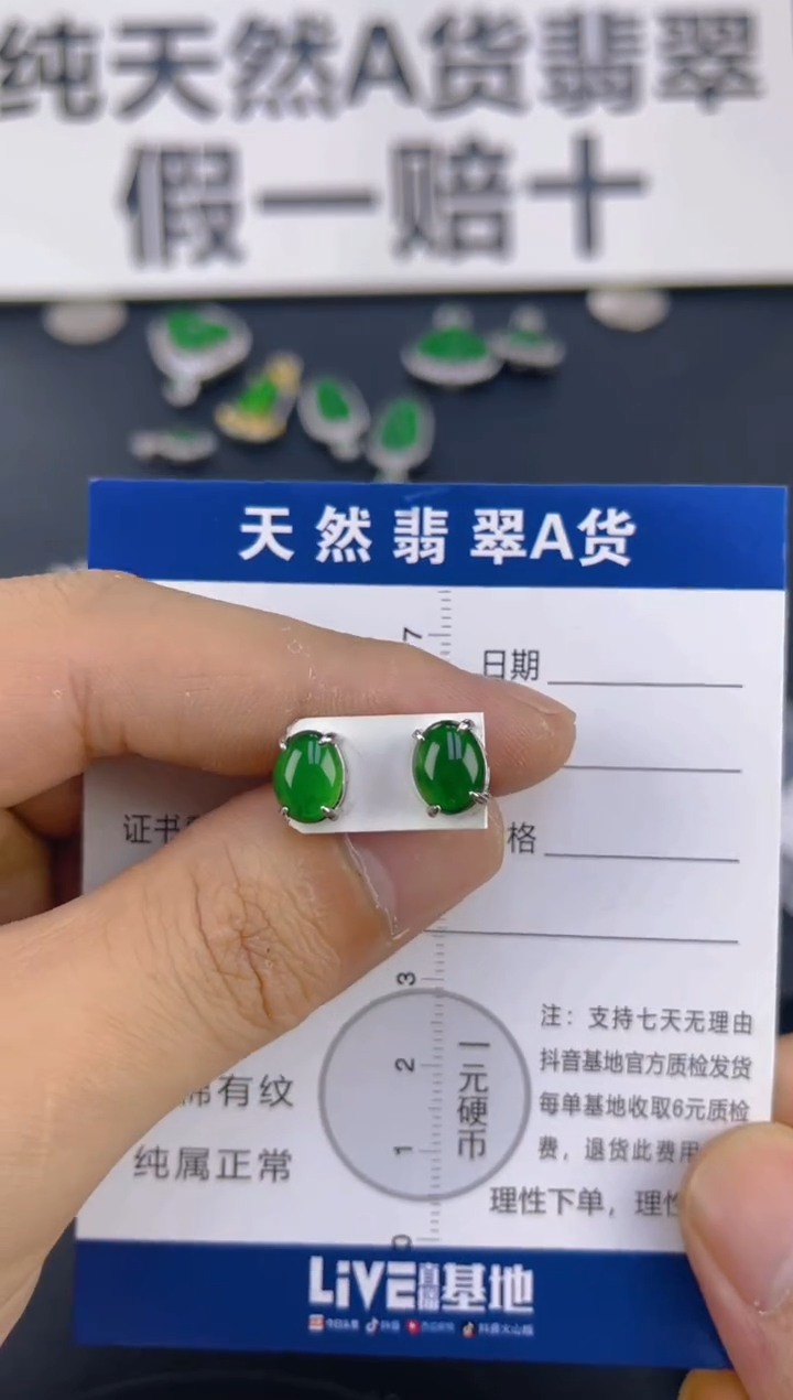 翡翠未镶嵌颈饰天然A货翡翠   