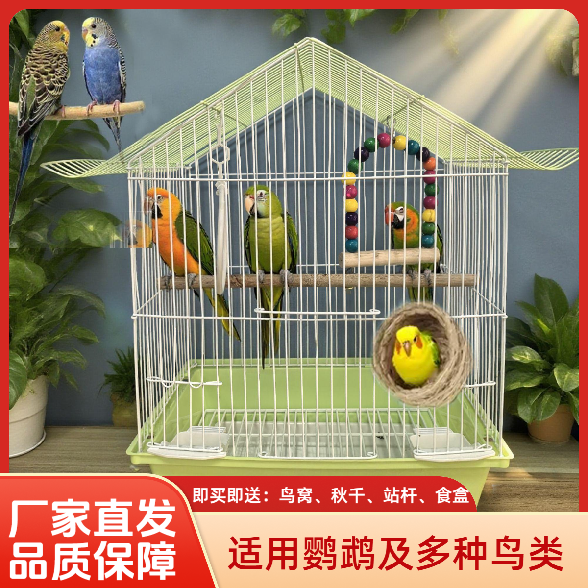 J5精品鹦鹉鸟笼套餐含鸟窝秋千适合虎皮玄凤珍珠鸟家用