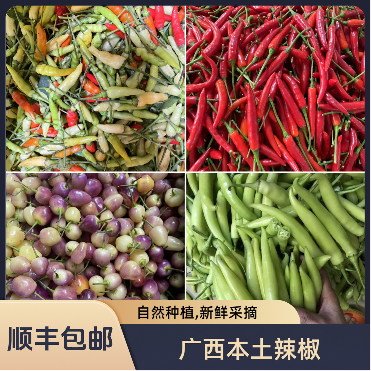 广西本土新鲜农家自种辣椒可做辣椒酱炒菜美味