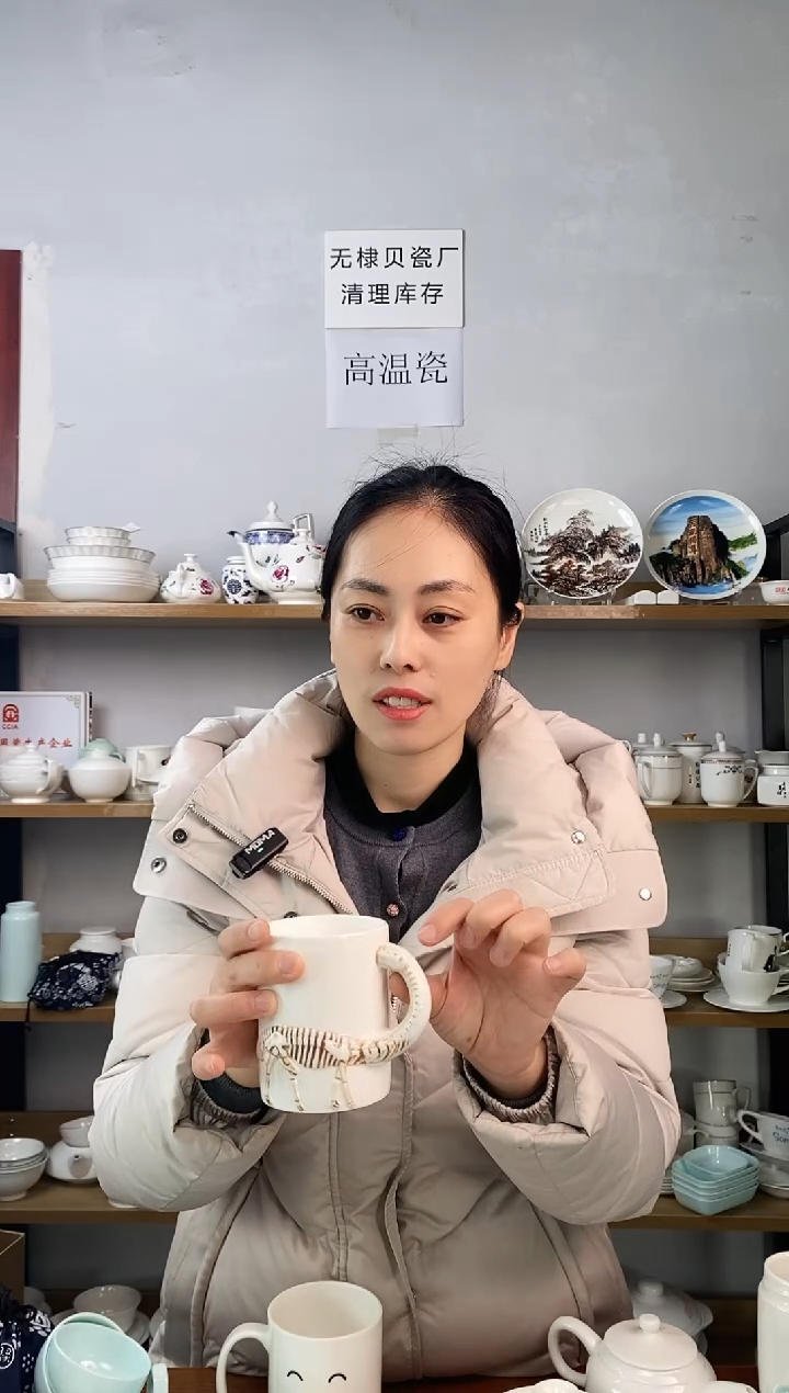 海洋贝瓷恐龙杯二个