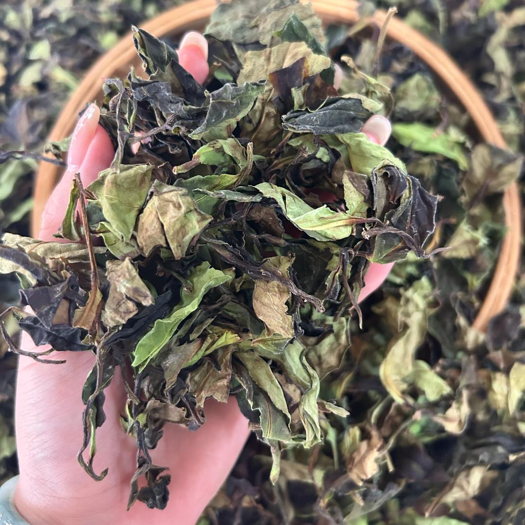 2025野放白茶单株散料（贡眉）