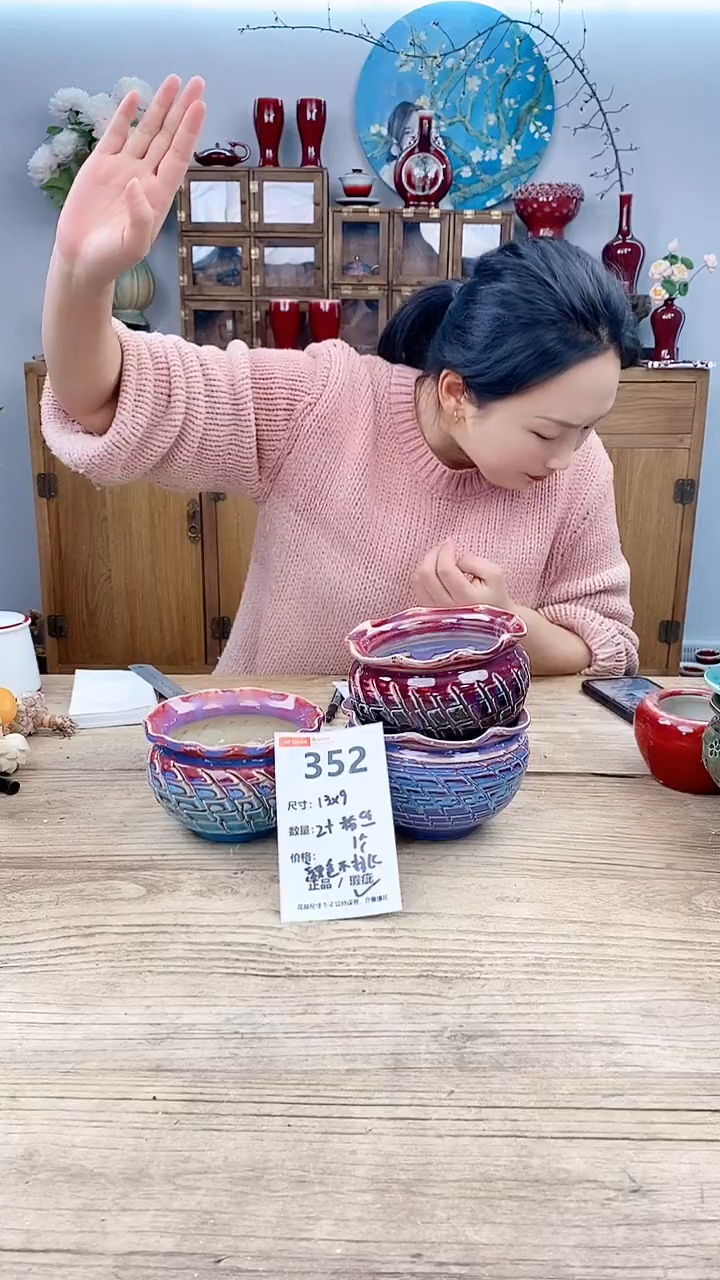 【闪购商品】红陶352
