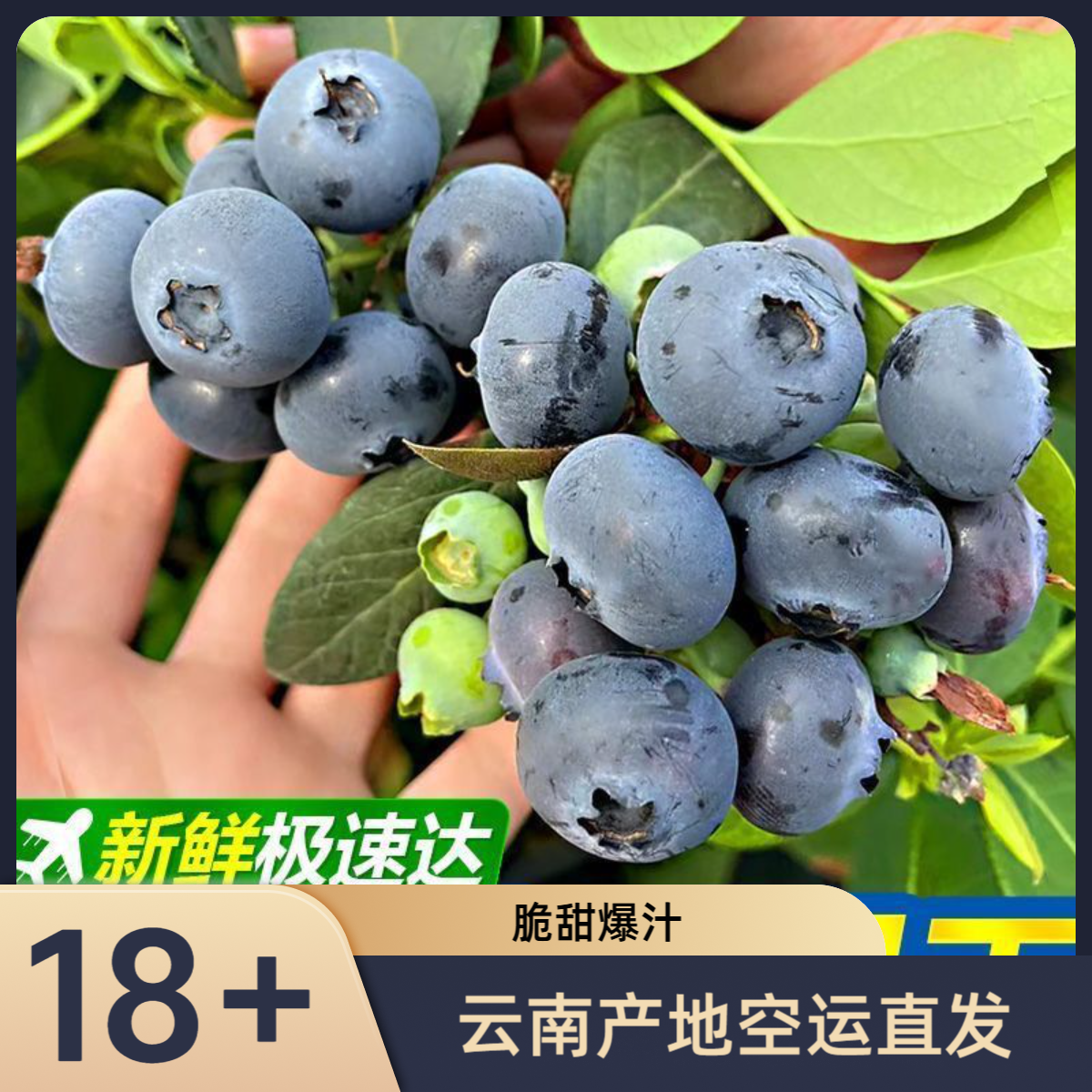 sss【18+mm】特大果云南高山产地空运直发（孕妈宝宝专享）八盒