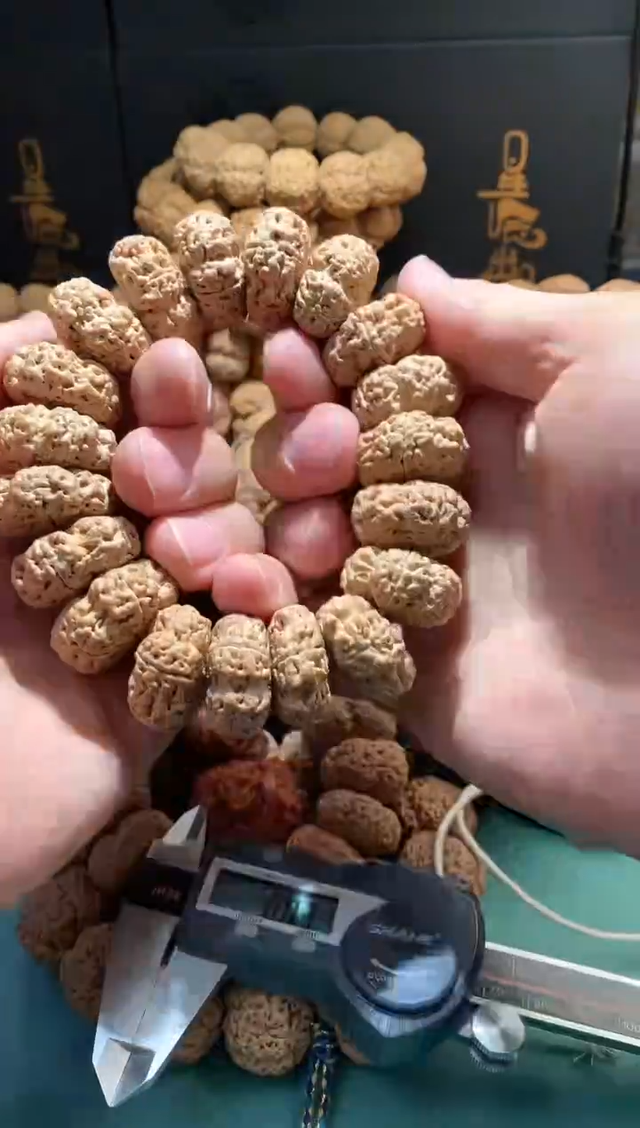 【闪购商品】金刚菩提吊坠6599999999