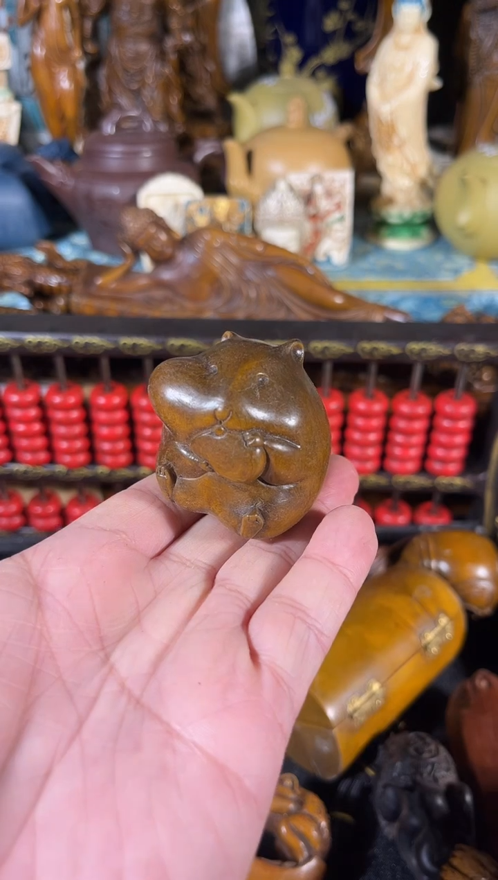 黄杨木1111111111111111111