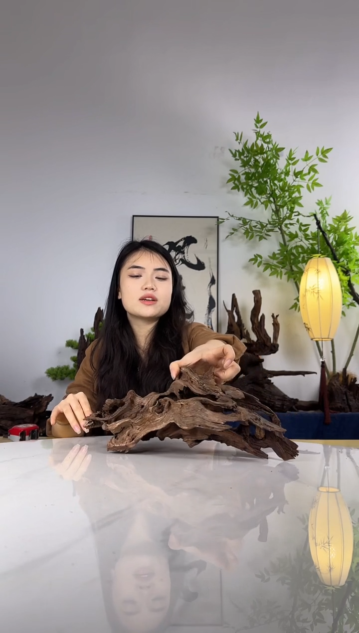 陈*六拍这个定向编号22