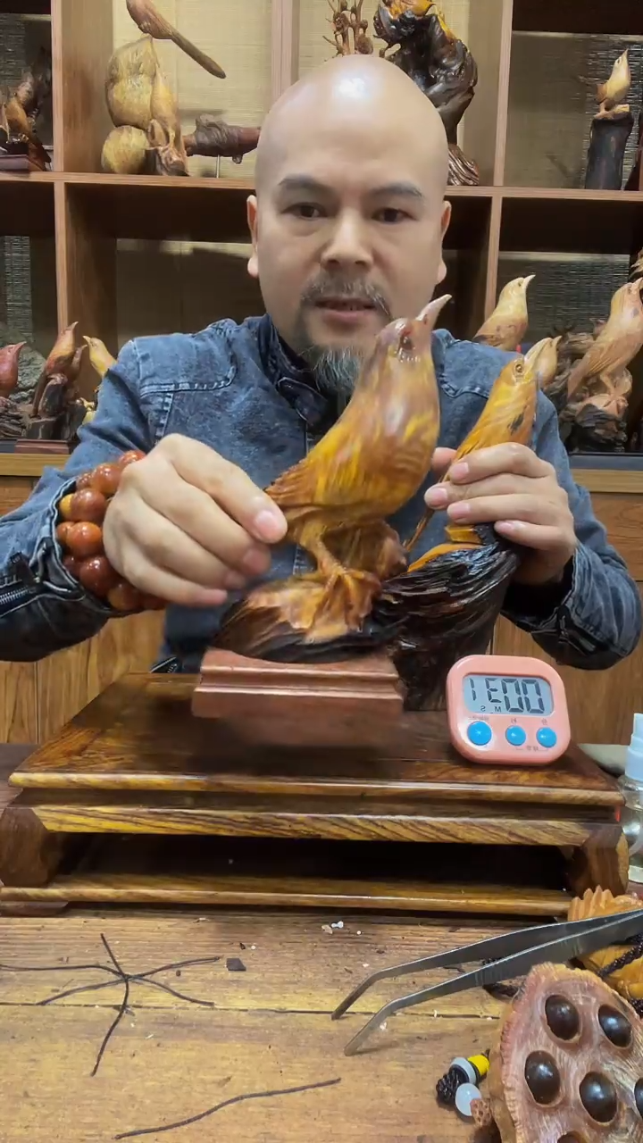 松木春 定向 春 定向 春