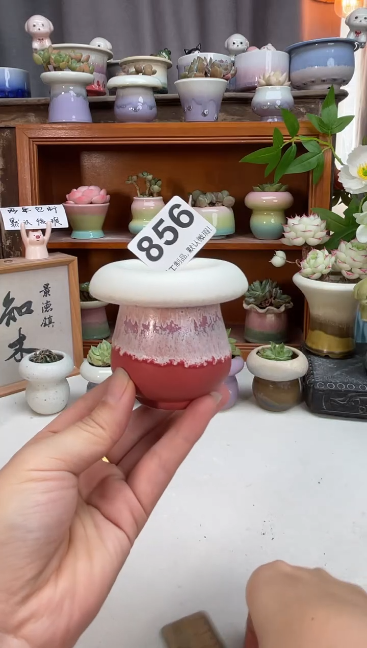 瓷片856知木小芳花盆