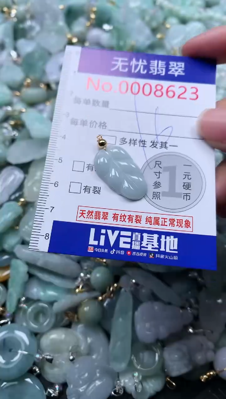 颈饰未镶嵌翡翠8623