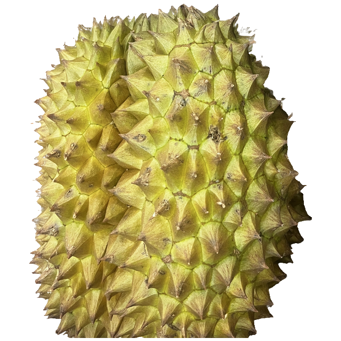 S泰国东部新鲜金枕榴莲2斤纯肉核小榴莲同城配金枕泰国