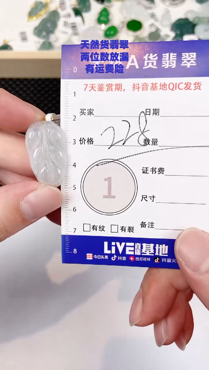 颈饰未镶嵌翡翠天然A货翡翠挂件