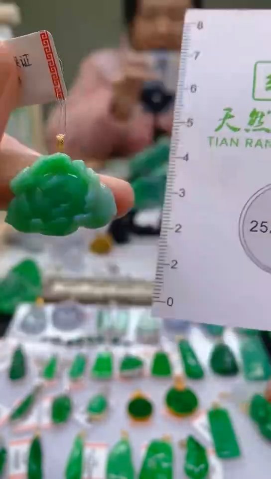 【闪购商品】翡翠颈饰18K金镶嵌 新号开播，全场乱卖