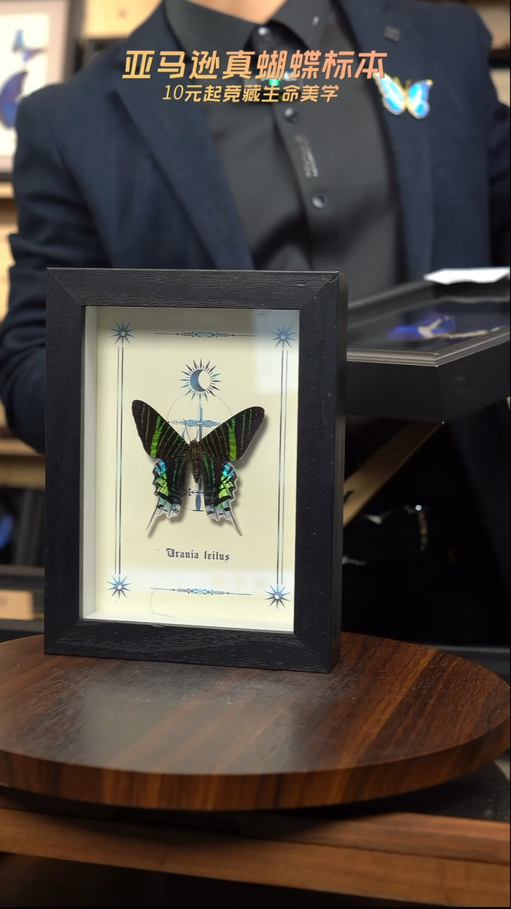 月亮蛾图腾款7寸竖框