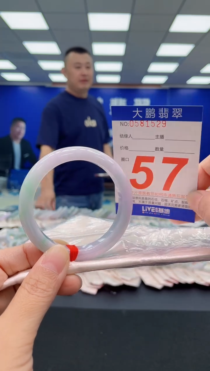 未镶嵌手镯翡翠AAAAAAAAA