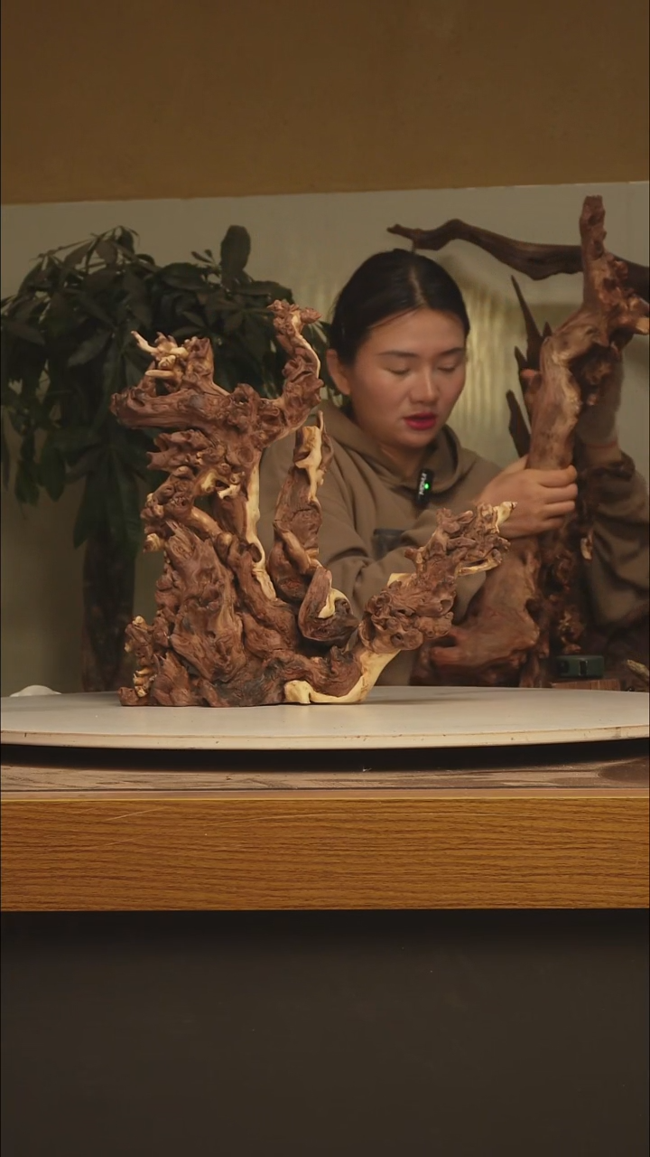 木贵****观金丝红木266