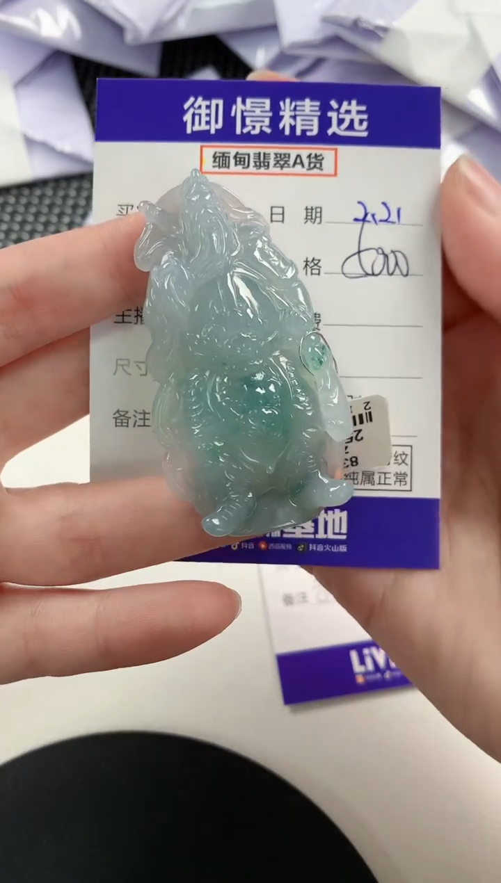 【闪购商品】翡翠颈饰未镶嵌81       