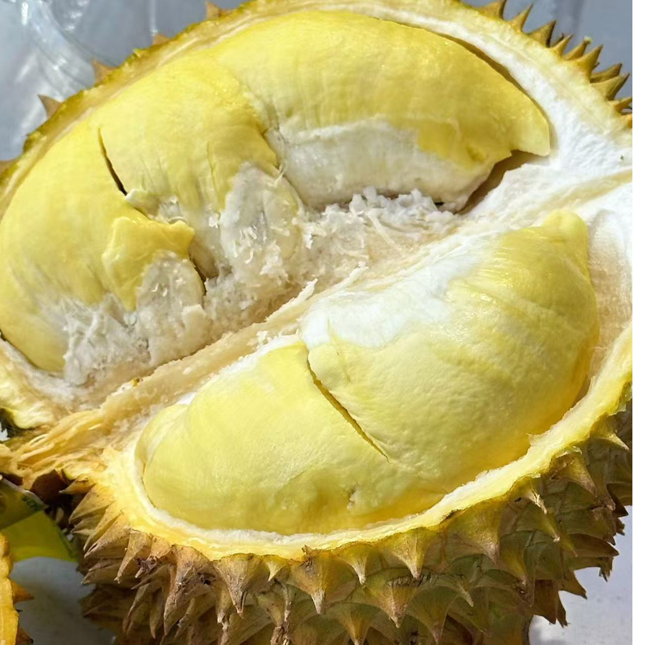 马来西亚D88猫山王，核大，新鲜榴莲68一斤.特价不做售后金枕泰国越南马来西亚