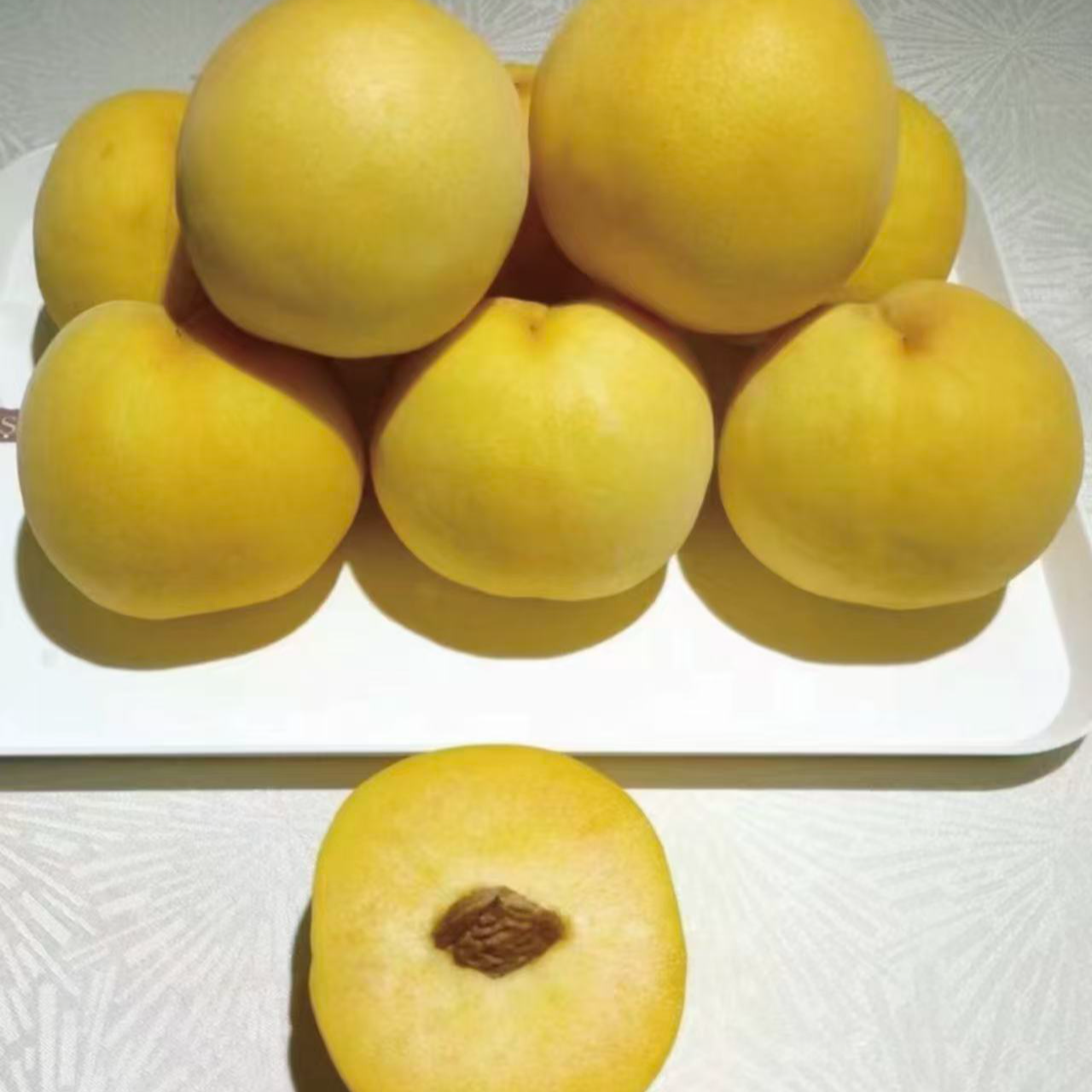 黄金凤桃苗一年苗直播间专属一物一拍桃苗