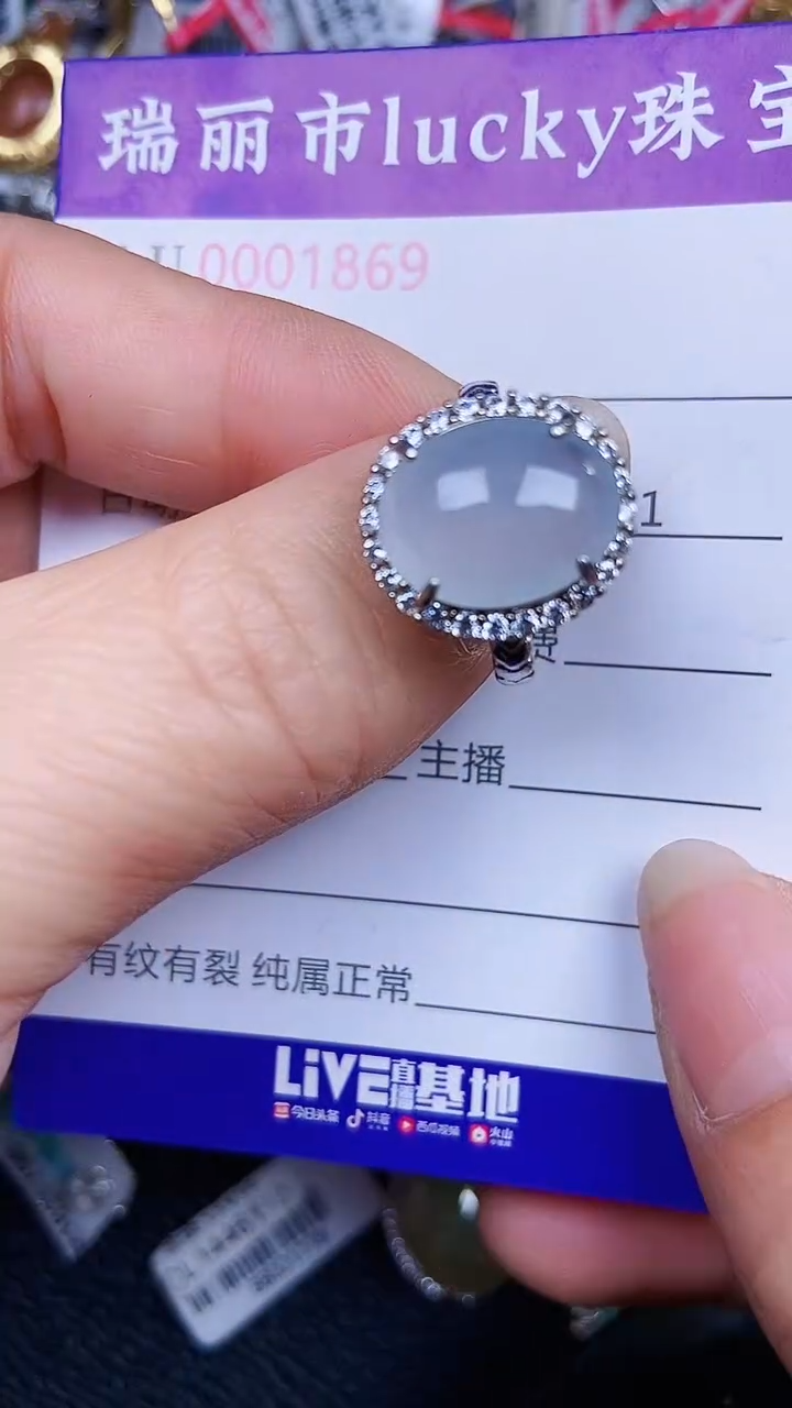 颈饰银S925镶嵌翡翠1869