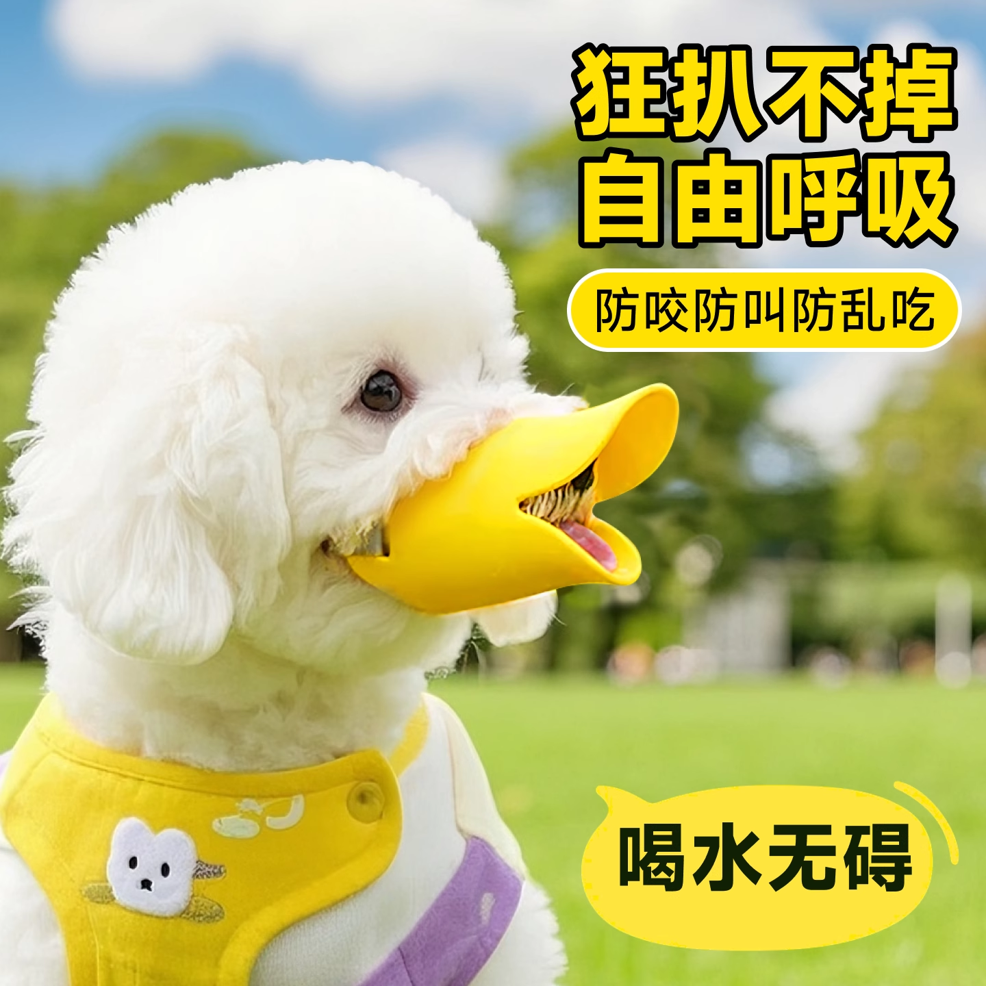 狗狗嘴套防咬防叫防乱吃咬人嘴罩可喝水中小型犬狗口罩防舔止吠器