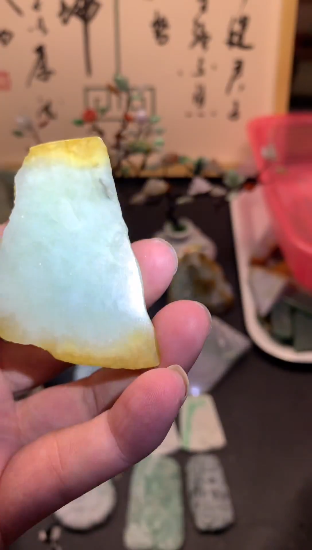 【闪购商品】翡翠颈饰未镶嵌天然翡翠A货