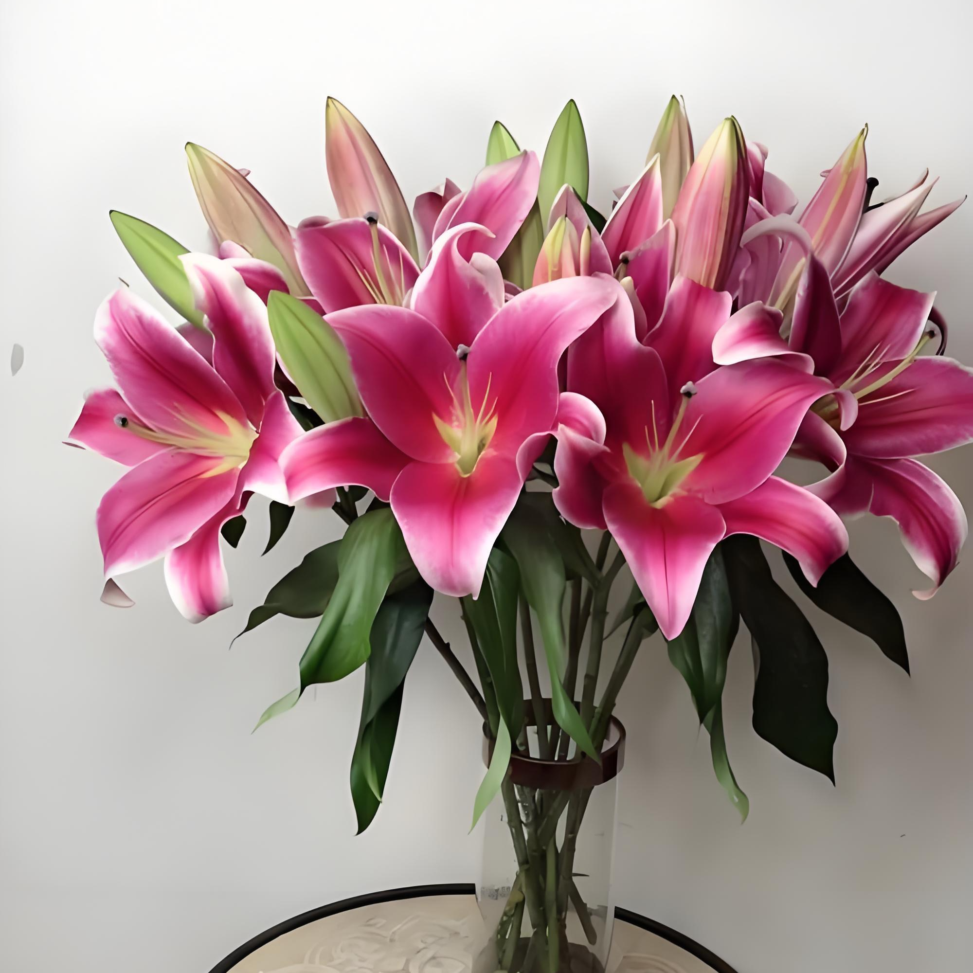 【一单顺丰包邮】红福香水百合云南基地直发