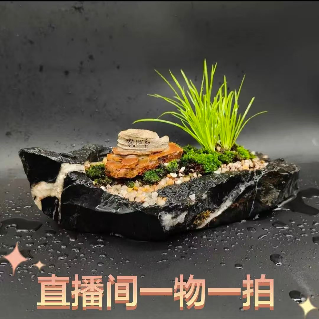 灵璧奇石适用于花盆鱼缸烟灰缸户外造景及玄关摆件