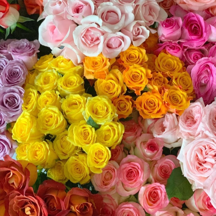 新店福利【次日达.玫瑰盲盒】10枝随机玫瑰单色全场一单顺丰包邮生活鲜花次日达