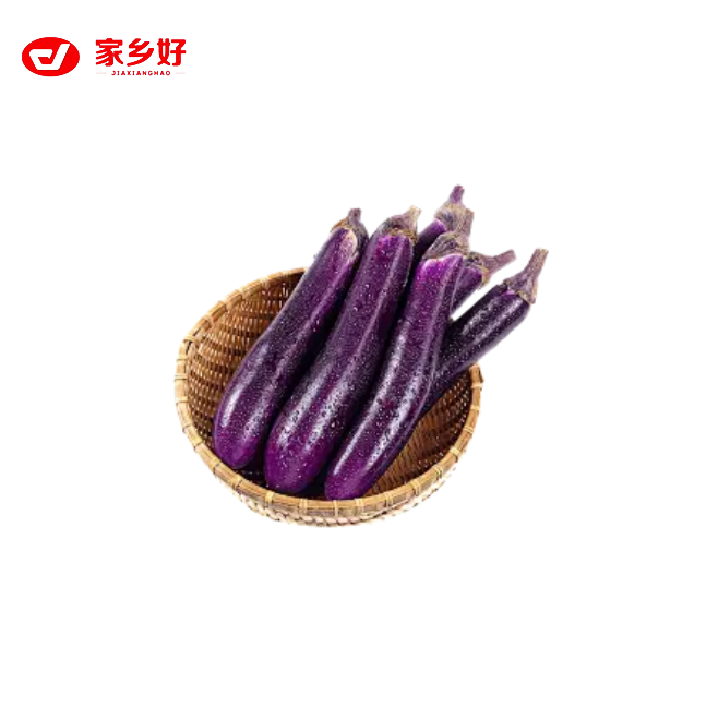 紫长茄一个      