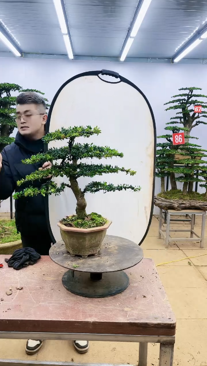 【闪购商品】一物一拍，所见即所得