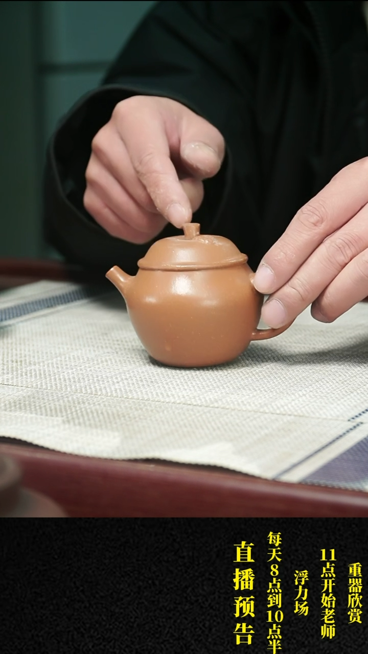 【闪购商品】紫砂茶壶紫砂 茶壶24