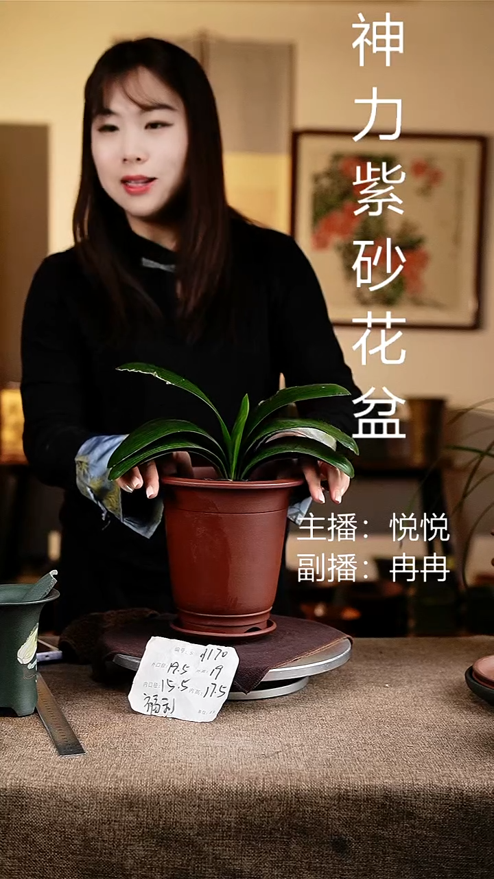 紫砂花盆花卉工艺9170+z