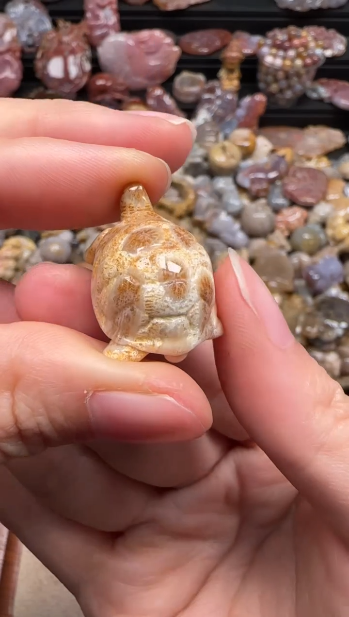 【闪购商品】硅化珊瑚（珊瑚玉）颈饰未镶嵌712