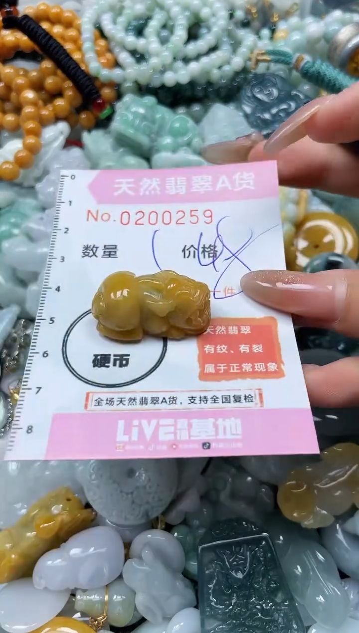 翡翠未镶嵌颈饰闪购0200259