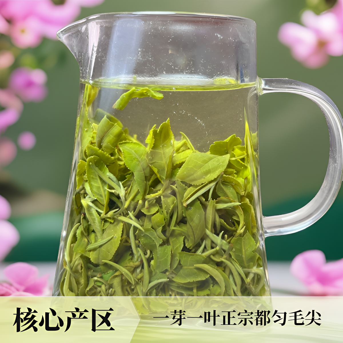 特级秋白露正宗都匀毛尖核心产区头采秋茶手工炒制板栗香鲜爽绿茶