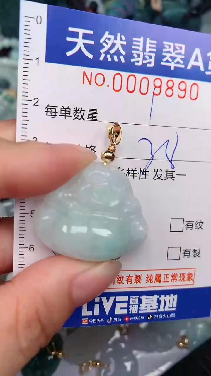 翡翠未镶嵌颈饰...0009890
