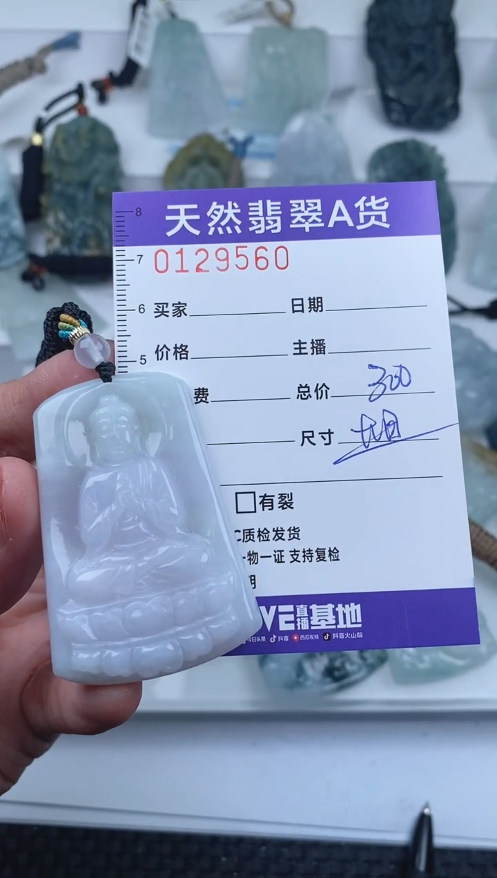 【闪购商品】翡翠颈饰未镶嵌         560